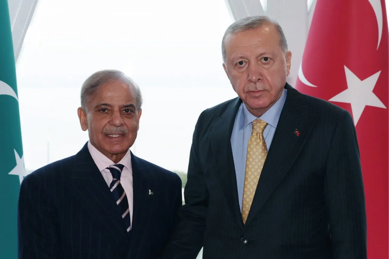Cumhurbaşkanı Erdoğan, Pakistan Başbakanı Şahbaz Şerif ile Bakü’de görüştü