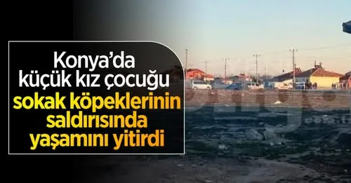 Konya’da küçük kız çocuğu sokak köpeklerinin saldırısında yaşamını yitirdi